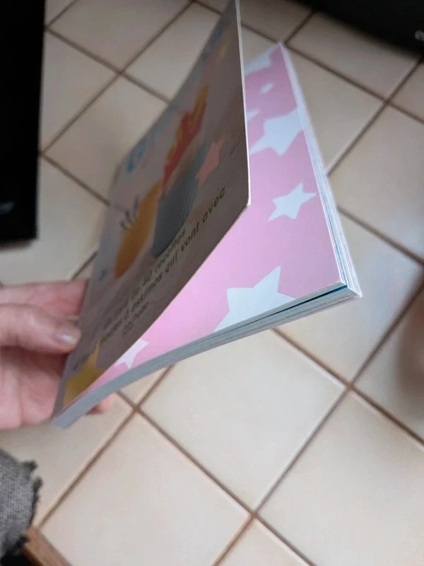 Libro de recetas de helados y sorbetes – photo 4